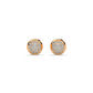 Eternal Brilliance Diamond Earring