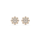 Divine Radiance Diamond Earring