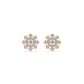 Divine Radiance Diamond Earring 18K