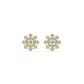Divine Radiance Diamond Earring 18K