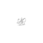 Asteria Diamond Pendant