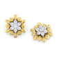 Nebula Nectar Earrings