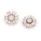 Radiant Reverie Diamonds
