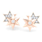 Floral Frost Diamond Drops 18K