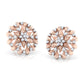 Sparkling Stardust Earrings