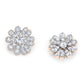 Opulent Opal Earrings