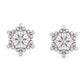 Aurora Adorn Earrings