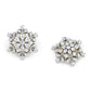Aurora Adorn Earrings