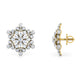 Aurora Adorn Earrings
