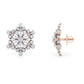 Aurora Adorn Earrings