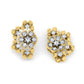 Golden Glamour Earrings
