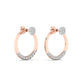 Prism Prismatica Earrings