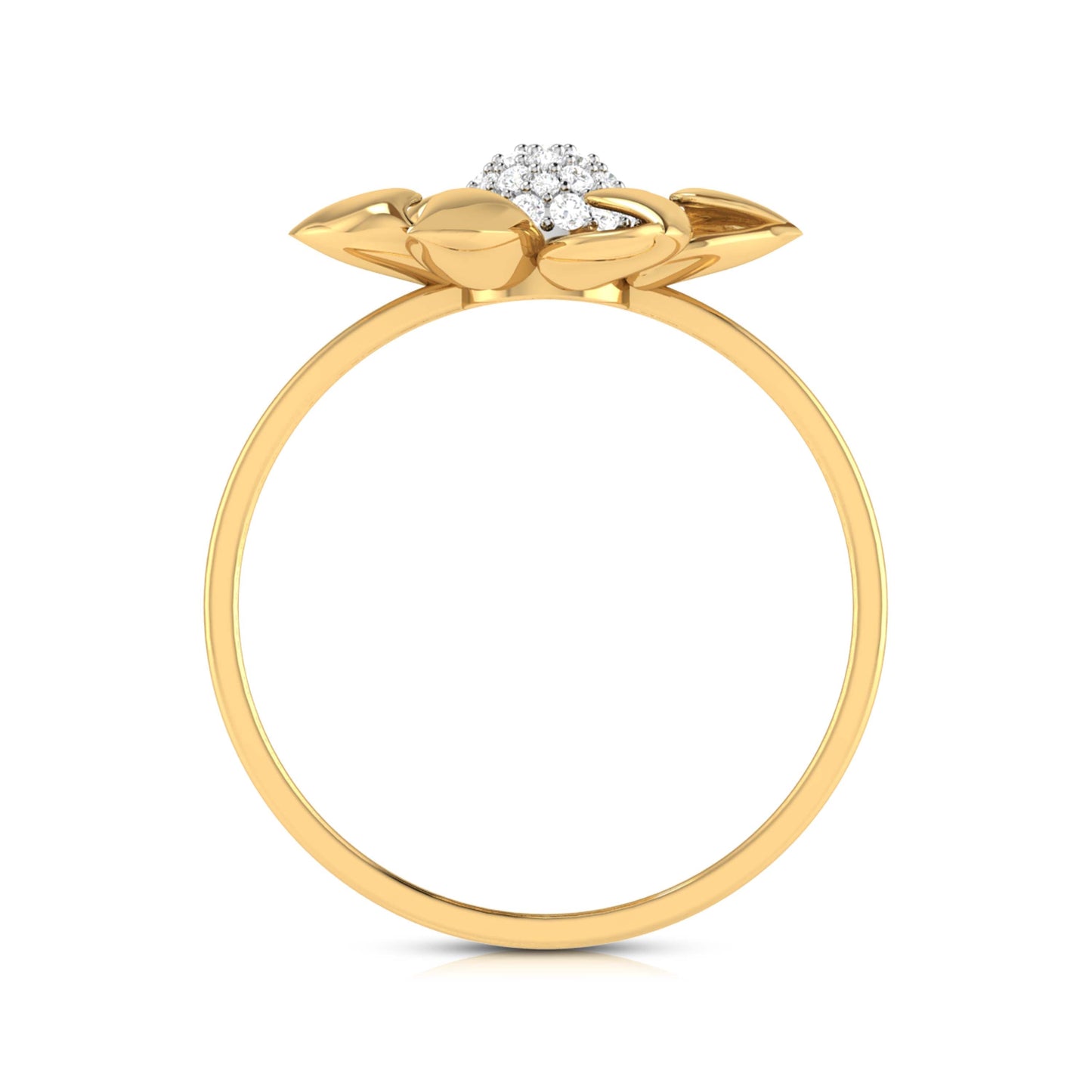 Midnight Serenade 14Kt Diamond Ring