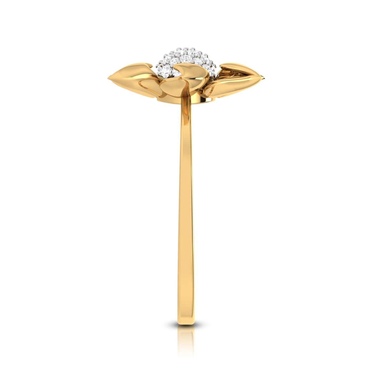 Midnight Serenade 14Kt Diamond Ring
