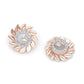 Tranquil Tundra Earrings
